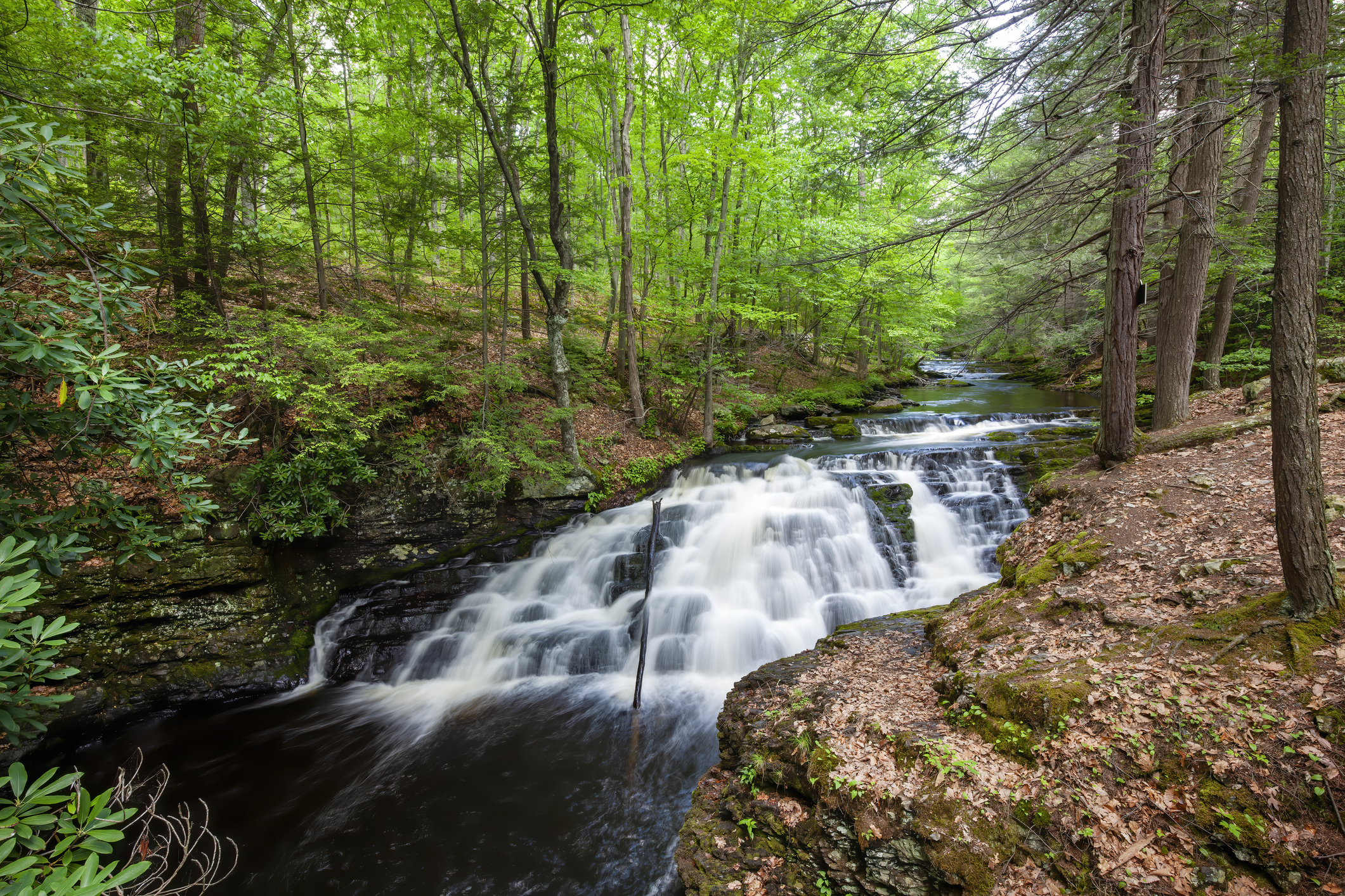 Exploring Pennsylvania: Top Must-See Destinations - Natural Wonders