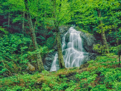 A serene waterfall cascades over rocks, surrounded by lush green trees and foliage in a vibrant forest setting.