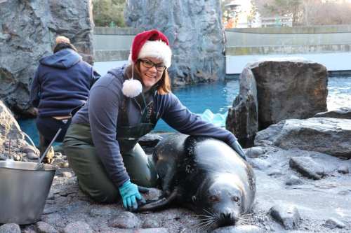 A smiling woman in a Santa hat kneels beside a seal on rocky terrain near water, with another person in the background.