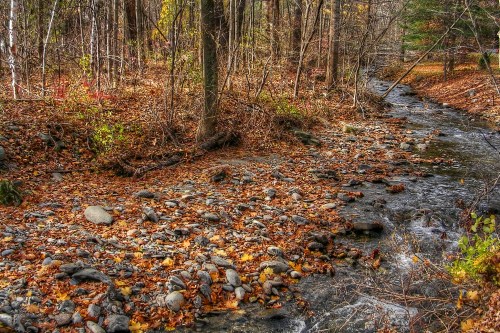 A serene stream flows through a forest, surrounded by colorful autumn leaves and rocky banks.