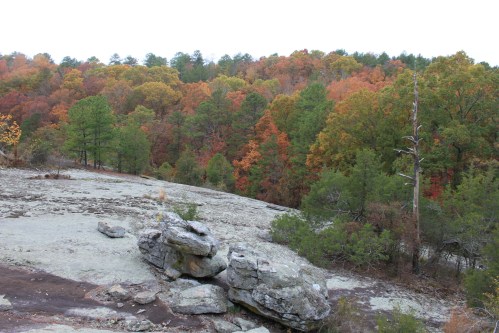 A rocky outcrop overlooks a forest with vibrant autumn foliage in shades of orange, red, and green.
