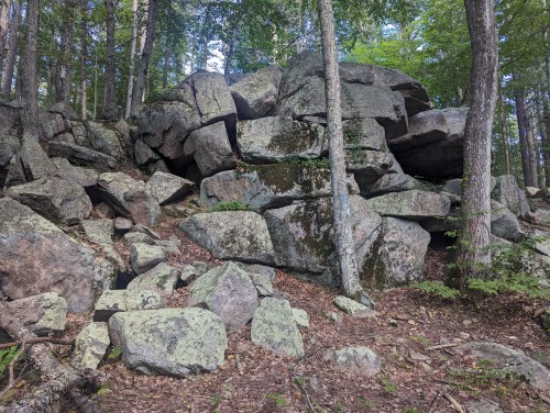 A cluster of large, moss-covered boulders surrounded by trees in a forested area.