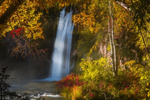 A serene waterfall surrounded by vibrant autumn foliage and lush greenery.