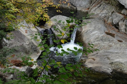 A serene waterfall cascades over rocks, surrounded by autumn foliage and greenery.