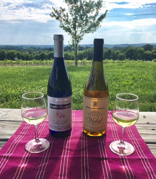 Two wine bottles and glasses on a table, with a scenic vineyard and blue sky in the background.
