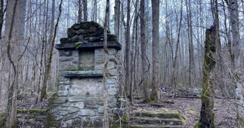 A weathered stone structure stands in a dense, leafless forest, surrounded by tall trees and underbrush.