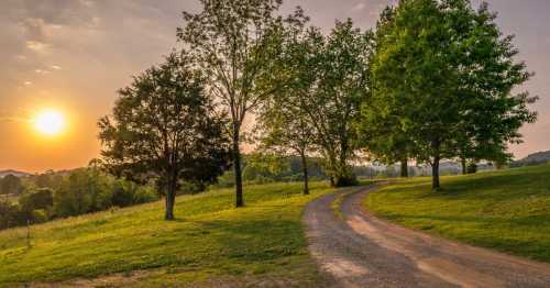 A winding dirt path through lush green fields, framed by trees, with a warm sunset in the background.