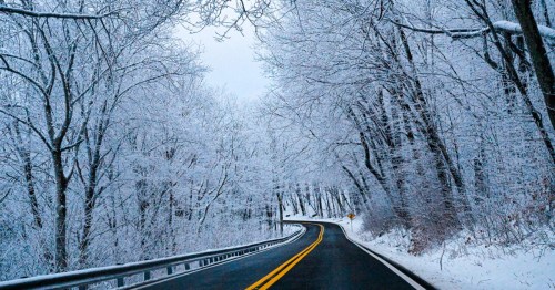 A winding road surrounded by trees covered in snow, creating a serene winter landscape.