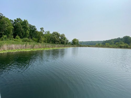 A calm lake surrounded by lush greenery and tall reeds under a clear sky.