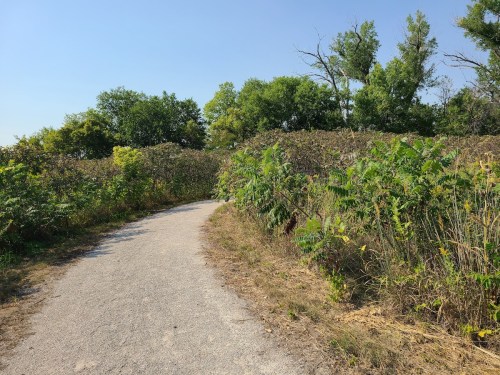 A winding gravel path surrounded by lush greenery and trees under a clear blue sky.