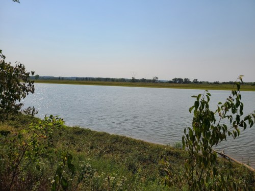 A serene view of a calm river surrounded by lush greenery and distant hills under a clear blue sky.