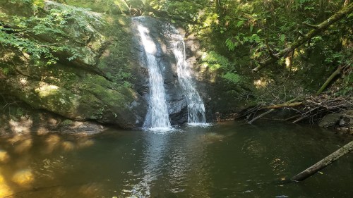 A serene waterfall cascading over rocks into a calm pool, surrounded by lush greenery and trees.