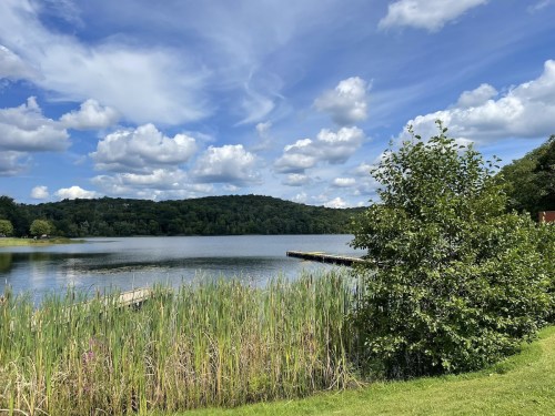 A serene lake surrounded by lush greenery and a blue sky filled with fluffy clouds.
