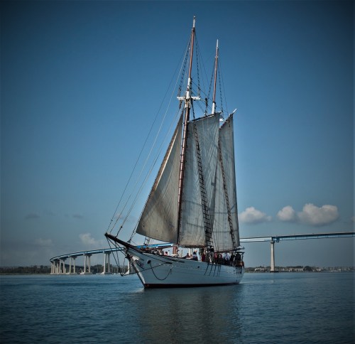 A tall ship with sails raised glides on calm waters, with a bridge visible in the background under a clear blue sky.