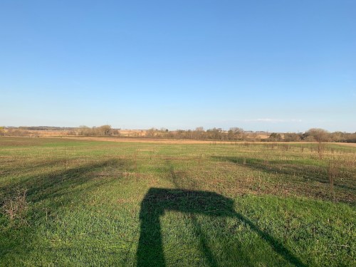 A wide open field under a clear blue sky, with distant trees and a shadow in the foreground.
