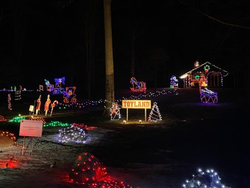 A festive display of colorful Christmas lights featuring a sign that reads "TOYLAND," with decorated trees and figures.