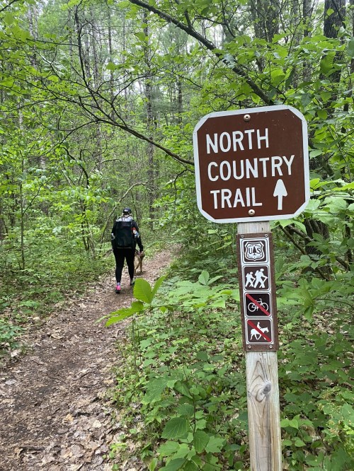 A hiker walks along a wooded trail with a sign for the North Country Trail, surrounded by lush greenery.