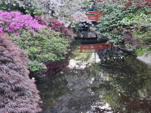 A serene garden scene with colorful flowers, a pond reflecting a red bridge, and lush greenery.