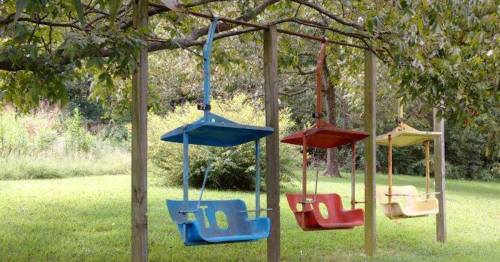 Three colorful swings—blue, red, and yellow—hanging from a wooden frame under a leafy tree in a grassy area.