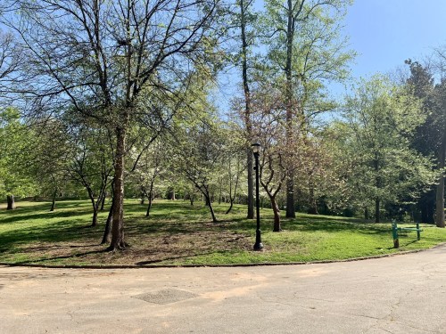 A sunny park scene with green grass, trees, and a lamp post along a winding path.