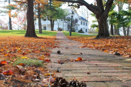 A brick pathway lined with autumn leaves leads to a white house surrounded by trees.