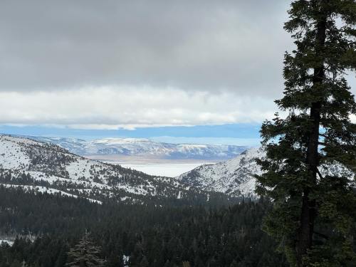 A scenic view of snow-covered mountains and a valley, with a cloudy sky and evergreen trees in the foreground.