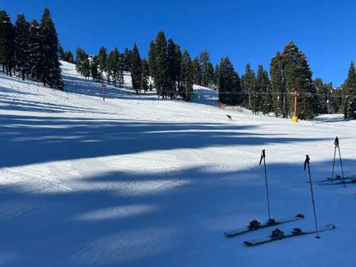 A snowy ski slope with trees in the background and ski poles in the foreground under a clear blue sky.