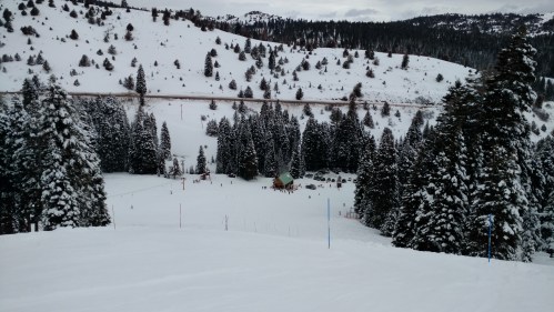 A snowy landscape with evergreen trees, a ski area, and distant mountains under a cloudy sky.