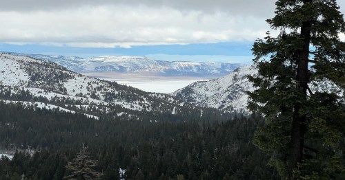Snow-capped mountains and a valley view framed by evergreen trees under a cloudy sky.