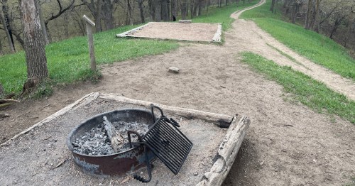 A fire pit with ashes and a grill sits beside a grassy path leading into a wooded area.