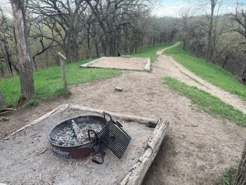 A fire pit with ashes and a grill sits beside a grassy path winding through a wooded area.