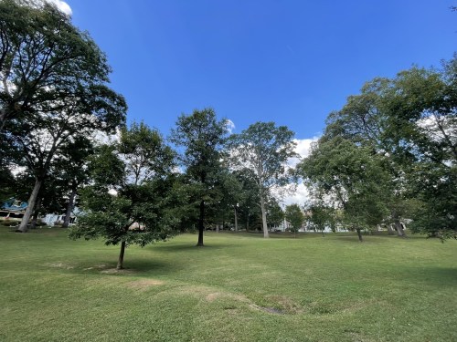 A grassy park with several trees under a clear blue sky and a few clouds.