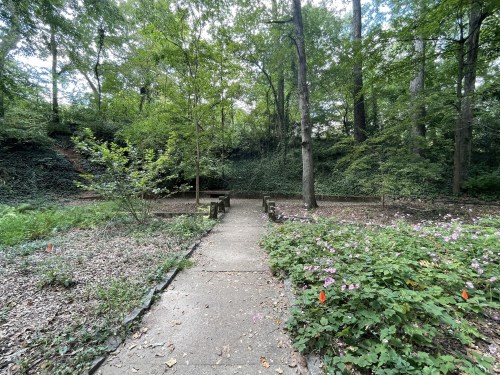 A serene garden path surrounded by lush greenery and flowers, leading into a wooded area.