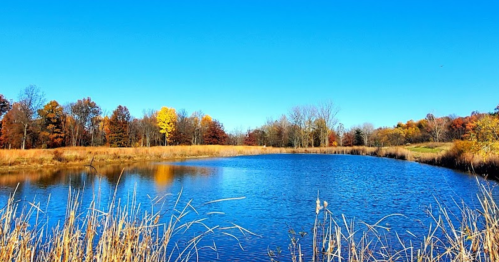 A serene pond surrounded by autumn foliage under a clear blue sky.