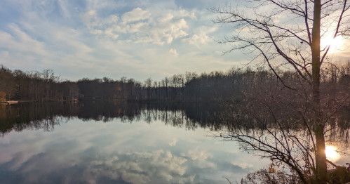 A serene lake reflects the sky and trees, with soft clouds and sunlight peeking through a bare tree branch.