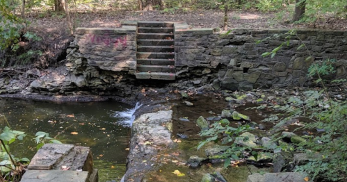 Stone steps lead down to a small, tranquil pond surrounded by greenery in a wooded area.