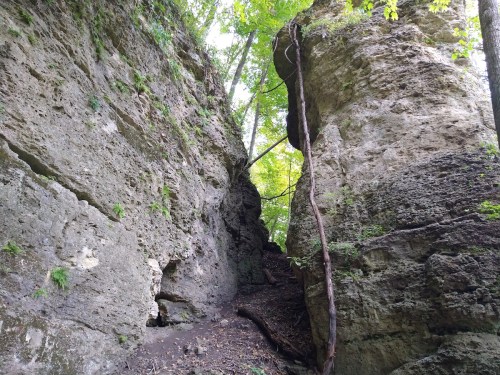 A narrow path between tall, rugged rock formations, surrounded by lush green trees and foliage.