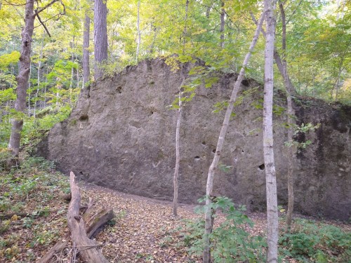 A large rock formation surrounded by trees and fallen leaves in a forested area.