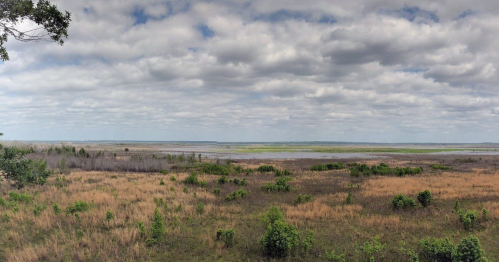 A panoramic view of a wetland landscape with grassy areas, water, and a cloudy sky.