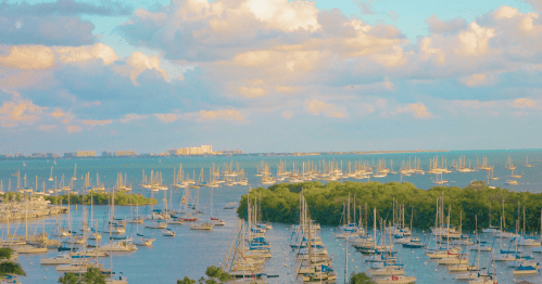 A scenic view of a marina filled with sailboats, surrounded by lush greenery and a vibrant sky with fluffy clouds.