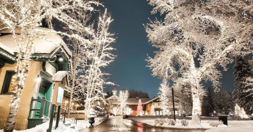 A snowy street illuminated by festive lights on trees and buildings, creating a magical winter scene at night.