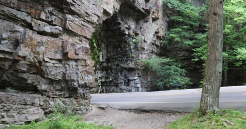 A rocky archway beside a road, surrounded by lush greenery and trees.