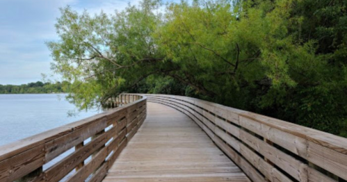 A wooden boardwalk curves along a serene lake, surrounded by lush green trees and a calm sky.