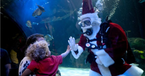 A scuba-diving Santa interacts with a child at an aquarium, surrounded by fish in a large underwater tank.