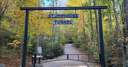 Entrance to Stumphouse Tunnel, surrounded by colorful autumn trees along a gravel path.