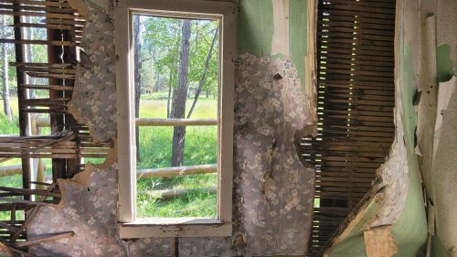 A window in a dilapidated wall, revealing a view of green trees and grass outside.