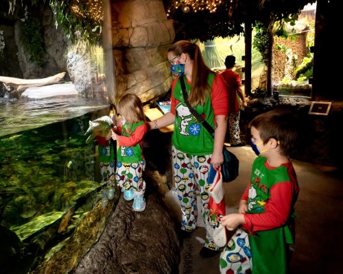 A woman and two children in matching pajamas observe fish in an aquarium, all wearing masks.