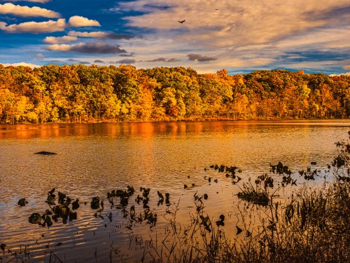 A serene lake reflects vibrant autumn foliage under a colorful sky, with clouds and distant birds enhancing the scene.