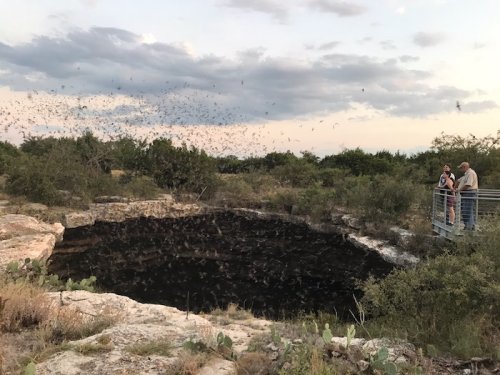 Two people stand on a platform near a large, dark sinkhole surrounded by trees, with bats flying overhead at dusk.