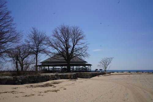 A sandy beach with a gazebo and bare trees under a clear blue sky. The ocean is visible in the background.